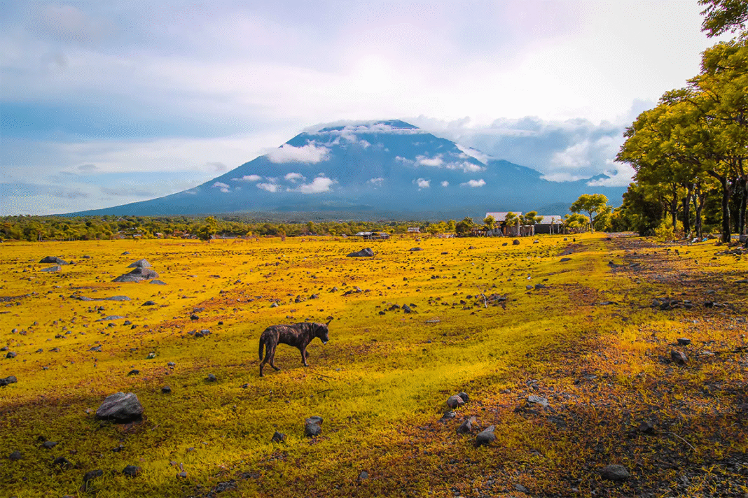 Savana Tianyar, Kabupaten Karangasem, Hidden Gems di Bali
