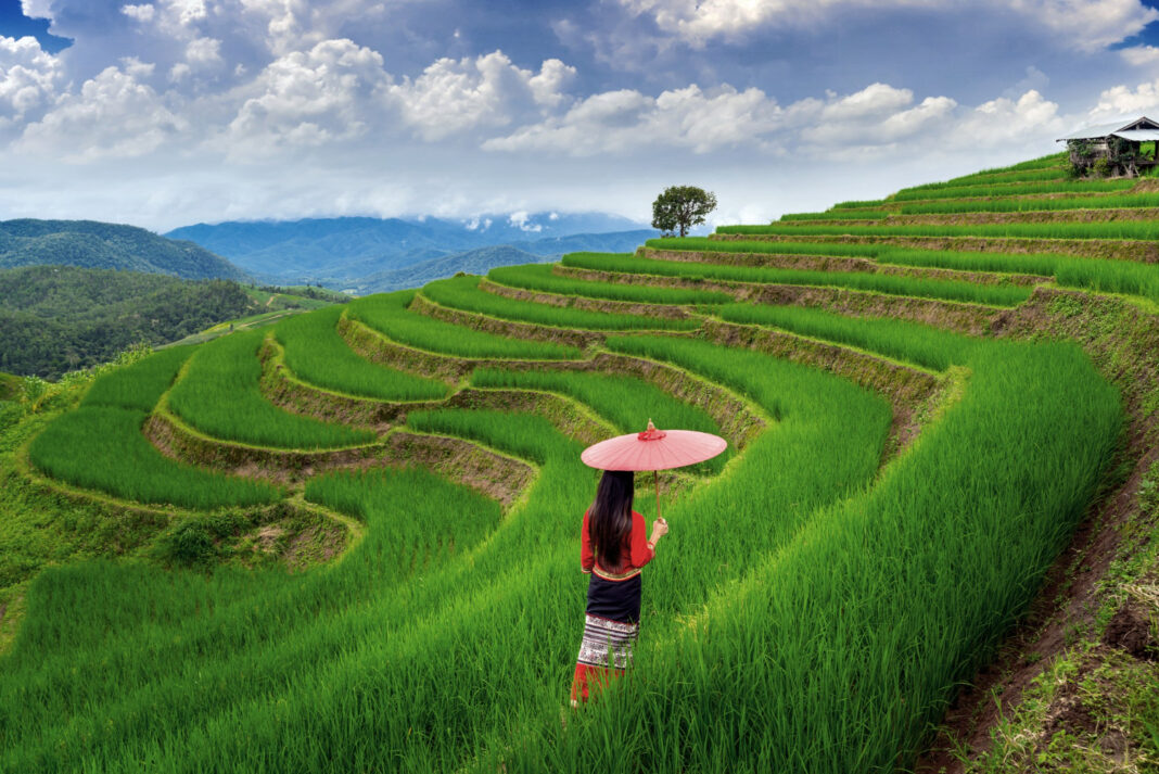 Best Rice Terraces in Bali