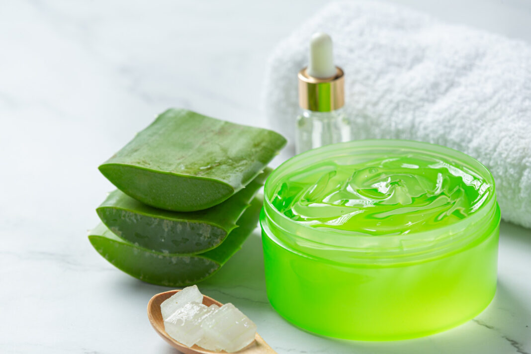Kegunaan Gel Aloe Vera