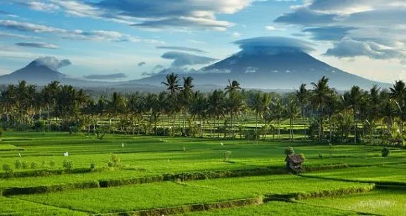 alih fungsi sawah Bali