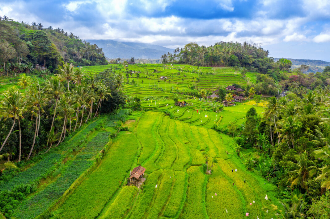 Subak Bali