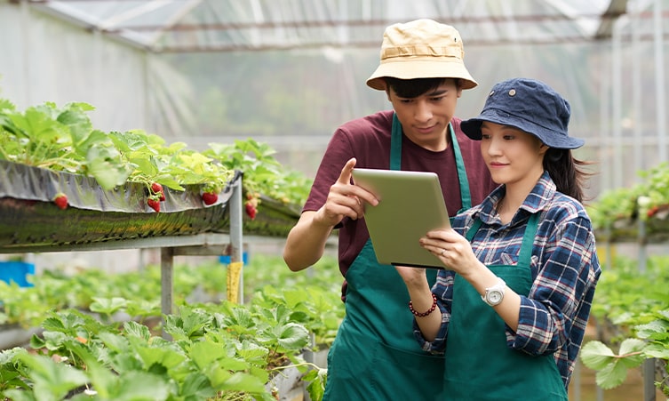 cara membuka bisnis farm modern