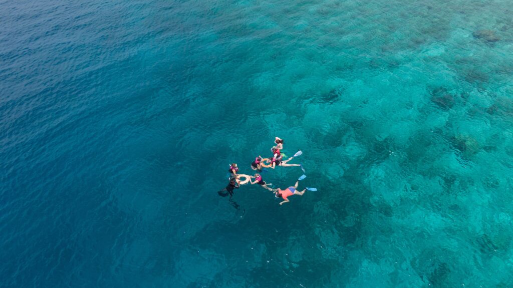 Diving di Bali: Rekomendasi Spot Terbaik Menikmati Bawah Laut
